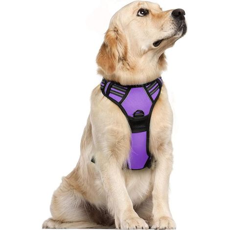 Harnais Chien XL Arnais Violet Anti Traction Réfléchissant Gilet Réglable pour Chien Grand Taille, Attache Devant Crochet de Laisse pour Trajet Voiture, American Staff, Border Collier-Ensoleillé (1/5)