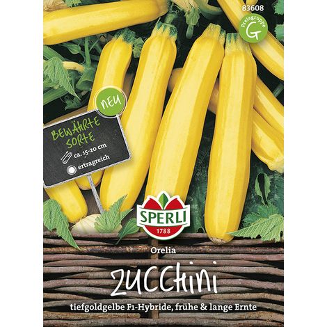Sperli Zucchini Orelia F1 - Gemüsesamen (1/2)