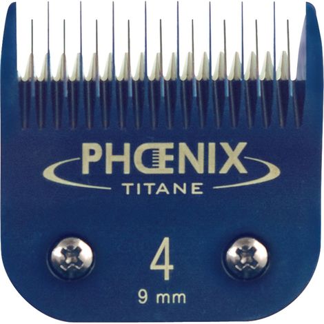 Tête de coupe N°4 Phoenix Céramique