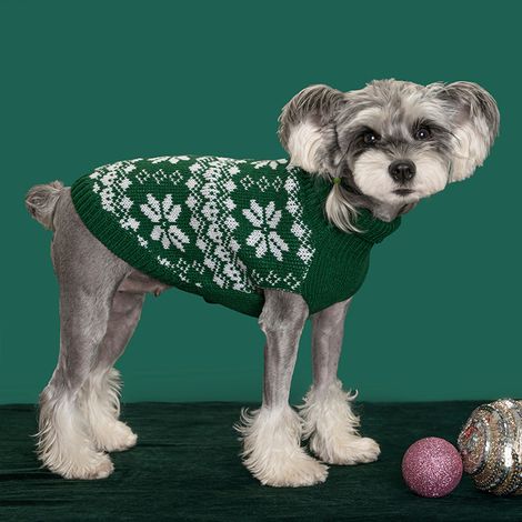 Pull-over Chien - Col Roulé Tricoté Épais - Motif Flocon De Neige - Pour Chiens Et Chats Petits À Grands - Vert - Taille L (1/4)