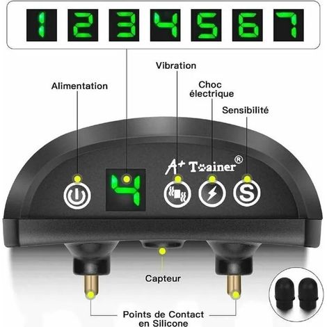 Collier Anti-aboiement - Rechargeable - 3 Modes - Sangle Réglable - IP65 (1/3)