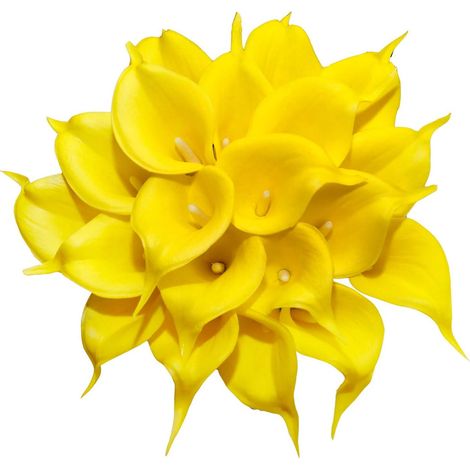 20 pièces de lys calla artificiel jaune (1/5)