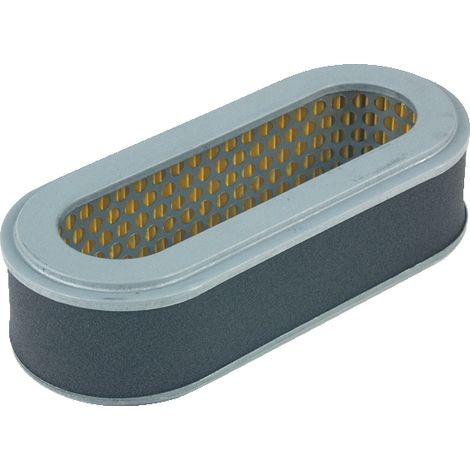 Luftfilter Mäher AGRIA ROBIN 2400 3400 5400 EH25D AGRIA 707-91 (1/2)