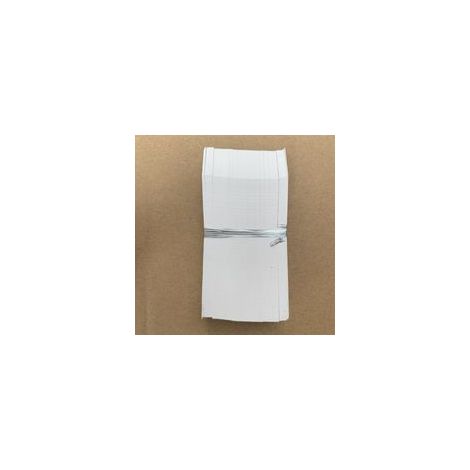 100 Pièces Étiquettes- Blanc pour Plantes de Jardin en Plastique Etiquette Semis de 2x10cm (1/5)