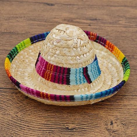 Kleiner Sommerstrohhut mit Stirnband für Hunde und Katzen (1/4)