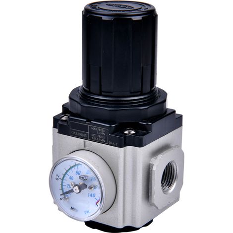 Riegler Druckregler »GA-mini «, inkl. Manometer, BG 200, G1/4, 0,5 - 9 bar (1/4)