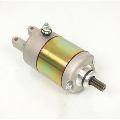 Teknix-Anlasser für Motorroller MBK 250 Skyliner 4HC-81890-00 (1/4)