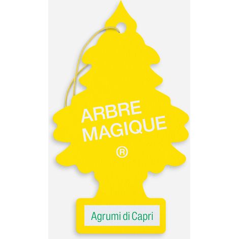 DEODORANTE AUTO 'ARBRE MAGIQUE' 'mediterraneo' - agrumi di Capri- 24 confezione  - BricoGo