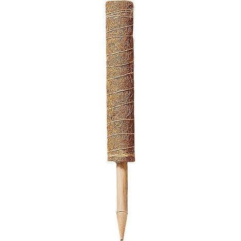 2 tuteurs en fibre de coco de 40 cm, pour plantes grimpantes, support en mousse, tuteur en fibre de coco de 42 cm (1/5)