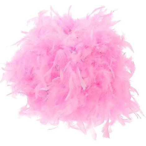 1 abat-jour en plumes (1/3)