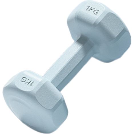Haltères pour femmes, équipement de fitness à domicile, kettlebell pour enfants, école primaire, musculation des bras pour hommes, yoga, petit ensemble d'haltères combiné (1/5)