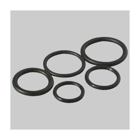 ANELLO O-RING 8,90 x 1,90
