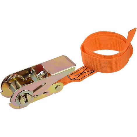 Sangle d'arrimage à cliquet 0,8 m x 25 mm, capacité de charge 250 kg, en polypropylène pour déménagement (1/5)