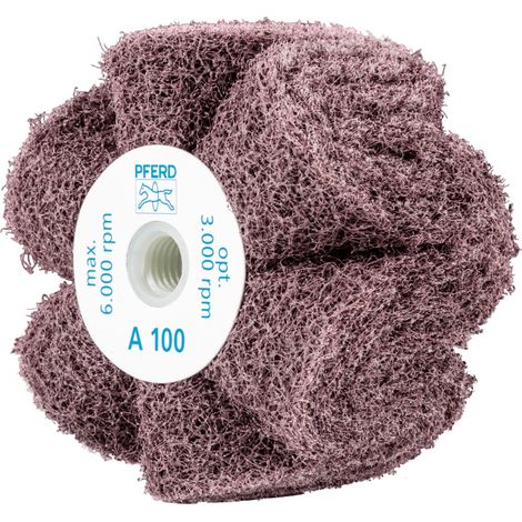 PFERD TOOLS POLINOX Vlies-Schleifrad PNG Ø 100x50mm Gewinde M14 A280 für Feinschliff und Finish 5 Stk (1/5)