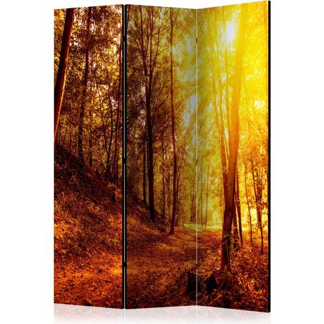 Paravento - Autumn Walk [Room Dividers] - 135x172 (1/4)