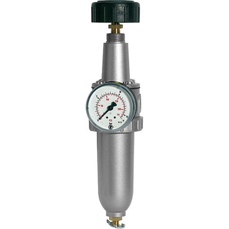 Riegler Filterregler »Standard «, mit Metallbehälter, BG 1, G 3/8 (1/4)