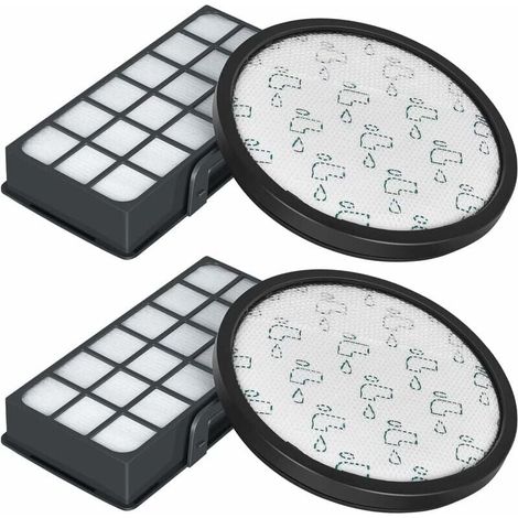 Filtre HEPA pour Rowenta (1/4)