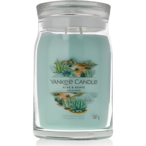 Vela Yankee Candle de aloe y agave, 567 g