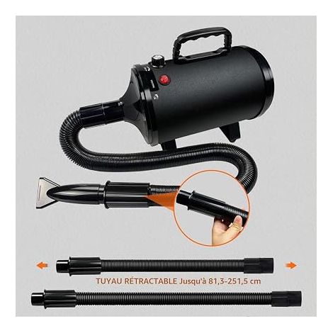 Dog Blower, 3200 W Blower for Dog Care (1/4)