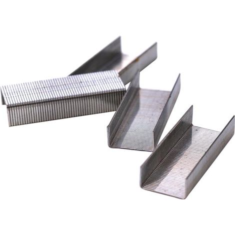 Agrafes - 600 Pcs
