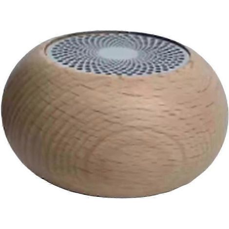 Enceinte Bluetooth rétro en bois : Mini caisson de basses portable pour la musique en extérieur (1/5)