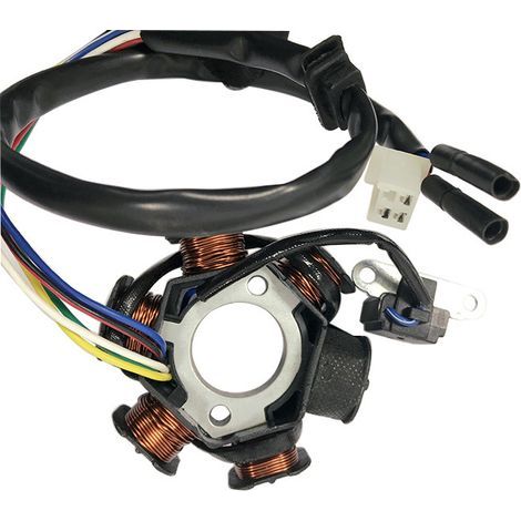 Stator coil, ignition coil, engine coil for GY6 150cc motorcycle (1/3)