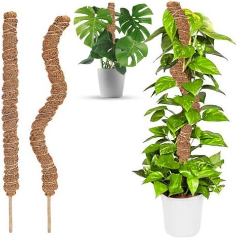 2PCS Tuteur Plante Pliable, 60 cm Long Plante Tuteur Coco Support pour Plante Grimpante, Grimpante Support pour Plante Monstera (1/5)