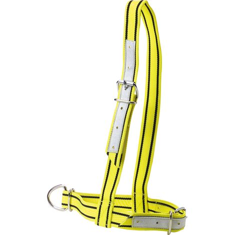 Licol en nylon jaune et noir pour vache