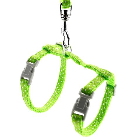 Ensemble harnais et laisse en laisse pour chat pour animaux de compagnie vert (1/3)