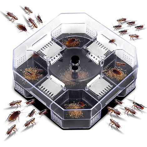 Piège à Cafards Réutilisable et Écologique pour Cuisine - Boîte Anti-Cafards Intérieur (1/5)