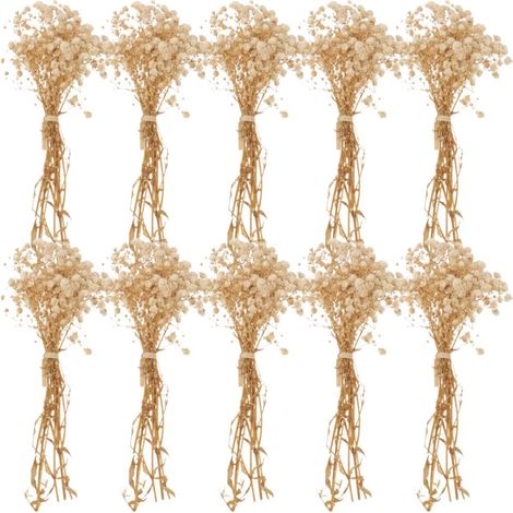 10 Bouquets de Gypsophile Séchée Décoratifs Naturels, Mini Bouquet 12 Cm Couleur Crème, Fleurs Séchées pour Décoration Maison, Mariage et DIY, Assortiment 10 Pièces (1/5)
