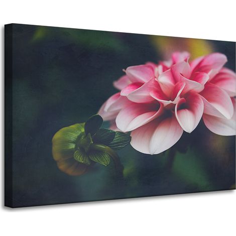 Lienzo impreso Botanica Pink Dahlia 90x60 cm