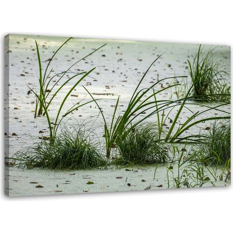 Cadre déco Plage Sable Herbe Vert 60x40 (1/5)