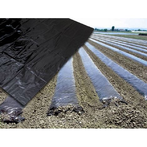 50KG TELO PER PACCIAMATURA SENZA FORI  H. cm. 100 KG 50