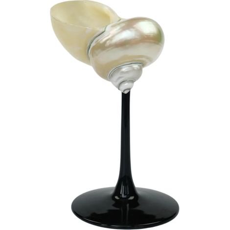 Verre à vin à pied en coquillage naturel, verre artistique en coquillage irrégulier, décoration intérieure.