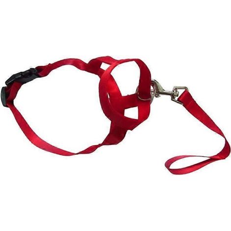 Muselière souple en nylon ventilée et élastique pour chien, protégeant la gueule des animaux et empêchant les morsures - Taille L - Rouge