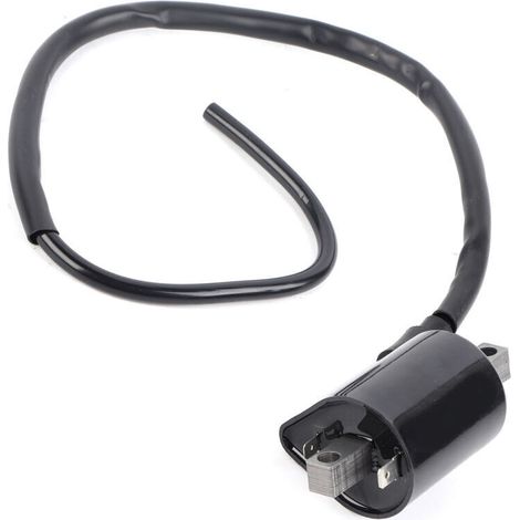 Bobine d'allumage à 2 broches de grande cylindrée pour les modèles Yamaha Cart G2 G9 J38823102000. (1/5)