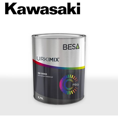 Peinture Kawasaki en pot  1000 gr