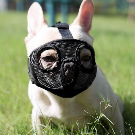 Muselière pour chien, réglable et respirante, pour bouledogue anglais, bouledogue français, pékinois, shih tzu, carlin - XS (1/4)