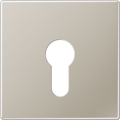 PLACA P/MEC. LLAVE EJEC. PLANA ACERO JUNG ES2925