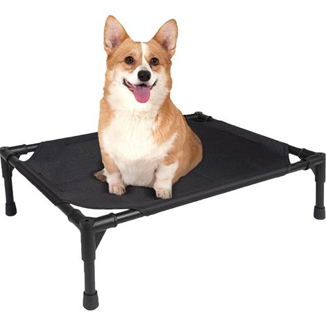 Lit Surélevé pour Chien, Lit Surélevé Pliable pour Chien (1/5)