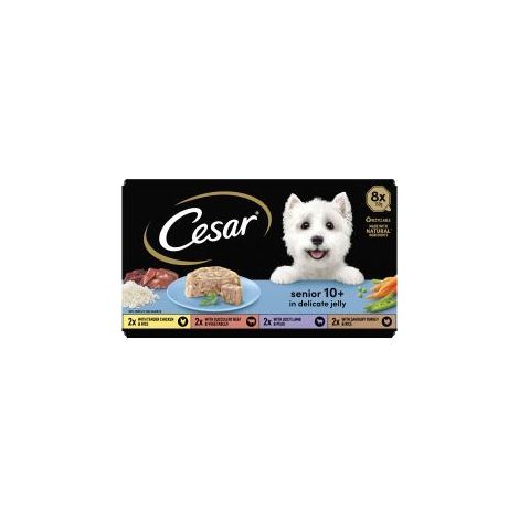 CESAR Senior 10+ in Delicate Jelly 8x150g - 730518