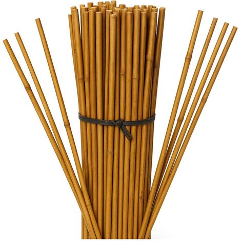 Lot de 50 tuteurs en bambou 120 cm – Diamètre 9-12 mm – Pour soutien de plantes et arbres – Installation facile et respectueux de l'environnement