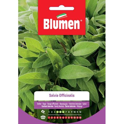 SEMI SALVIA OFFICINALIS
