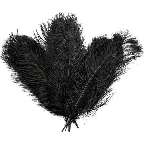 Lot de 10 plumes d'autruche naturelles, multicolores, 30 x 35 cm, décoratives (1/5)