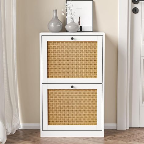 Home Slim Slim Shoe Rack in Melamine Wood 2 Doors with Flap and Double Depth Capacity Pair Shoe Rack for Home Entrance Reopens (1/5)
