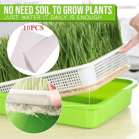 Plateau de semis double couche pour culture hydroponique, godets de pépinière de jardin