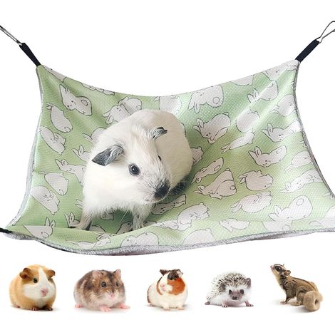 Maison cochon d'inde, Hamac Lit Hamac pour Animaux de Compagnie À Double Couche Chinchilla Furet pour cage de petit animal de compagnie, pour Chinchilla,Hérisson,Cobayes (Glace Soie, lapin vert) (1/5)