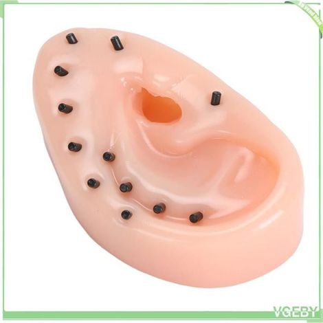 Jouet anti-stress - FAFEICY - Oreille réaliste - Simulation boutons éclatants - TPE - 3 épingles & pince (1/4)