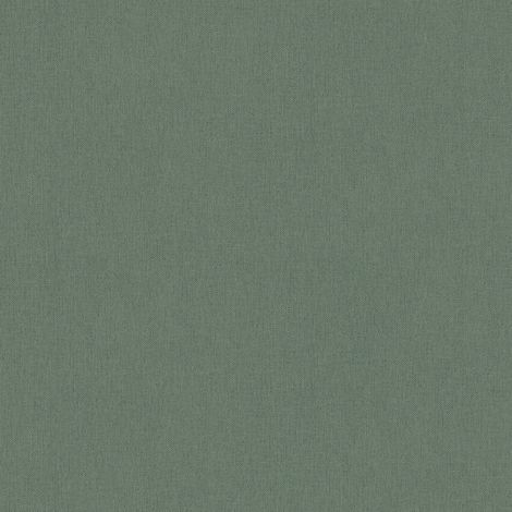 BRICOFLOR Papier peint Vert Couloir Cuisine Chambre (à coucher) Salon - 10,05 x 0,53 m (1/5)